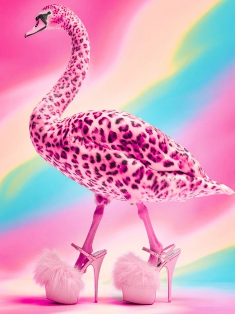 Pink Leopard-Print Flamingo Art Print 8x10 closet, office or bathroom decor